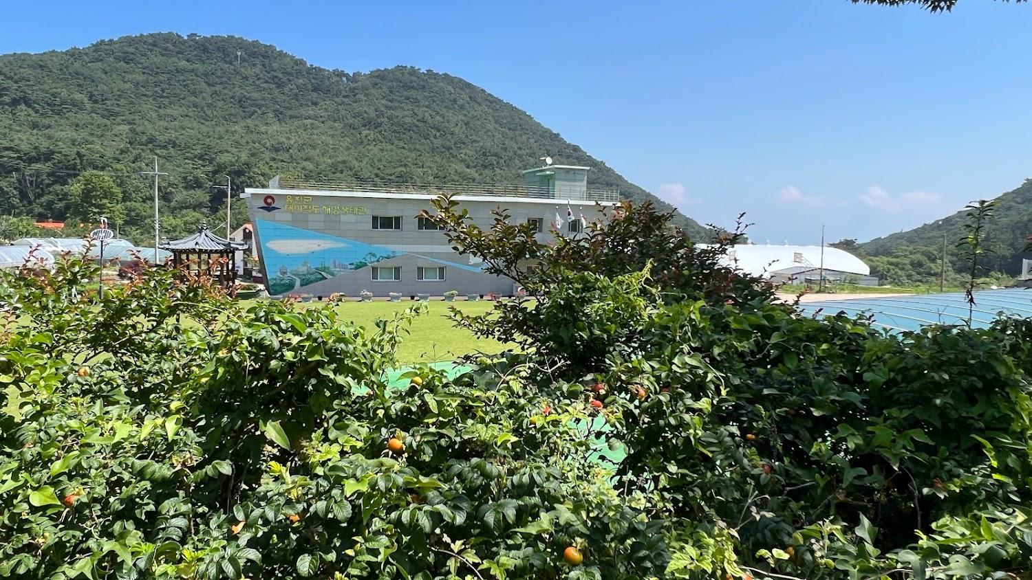 Cover Image for 인천대이작도해오름