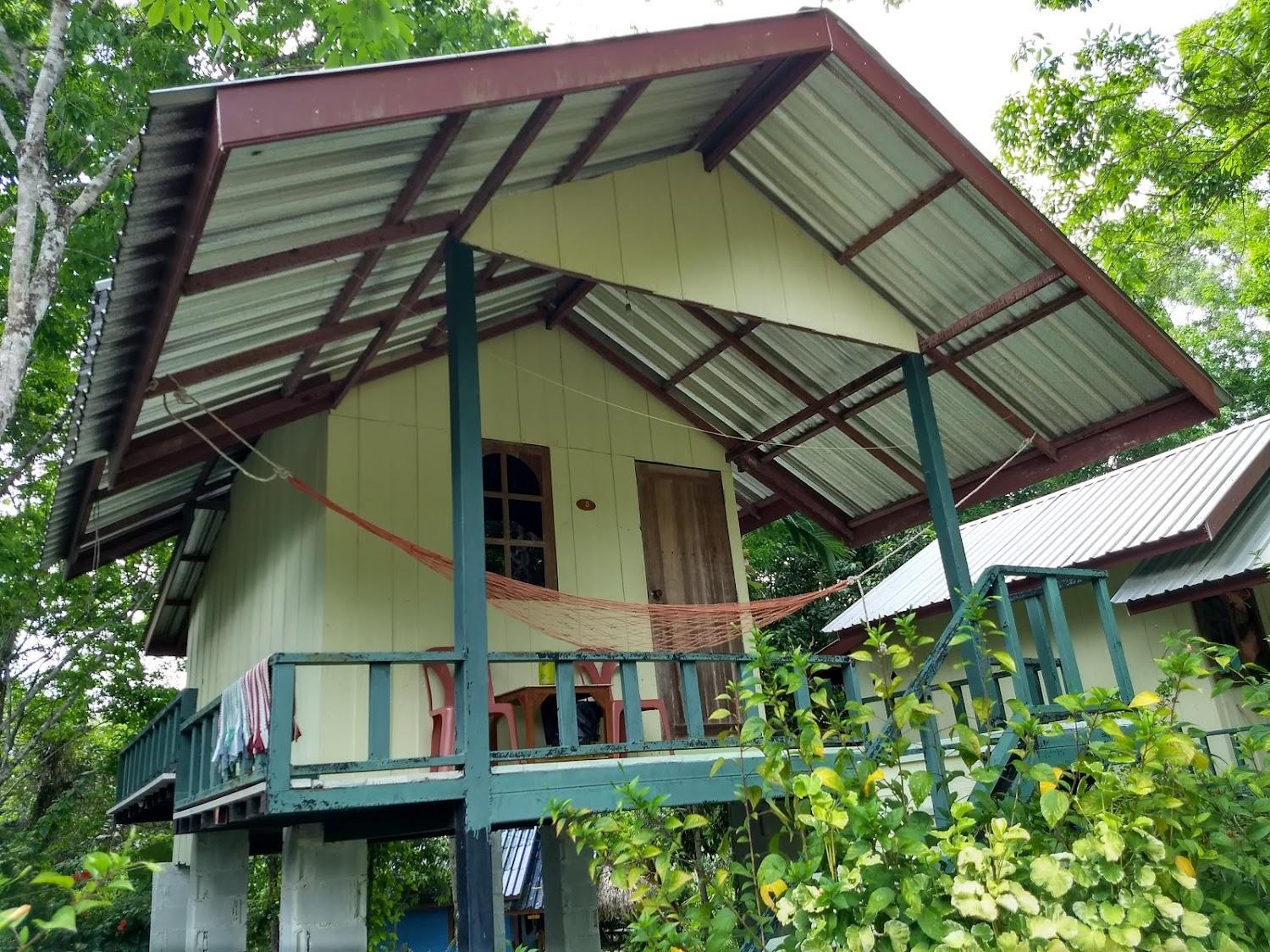 Cover Image for Rasta House