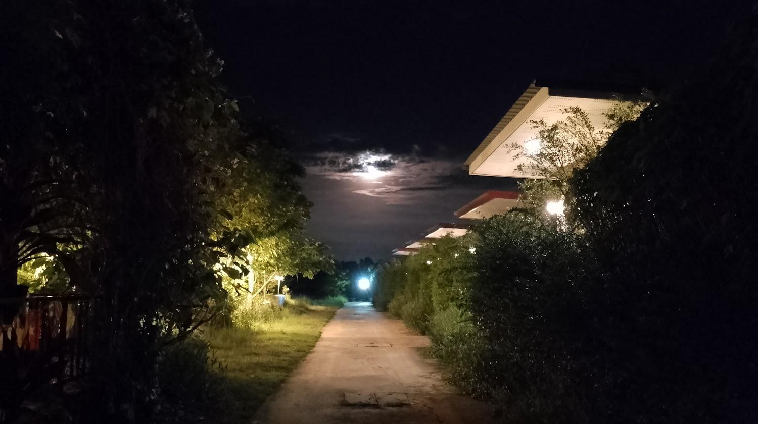 Cover Image for นาตาย่ารีสอร์ท