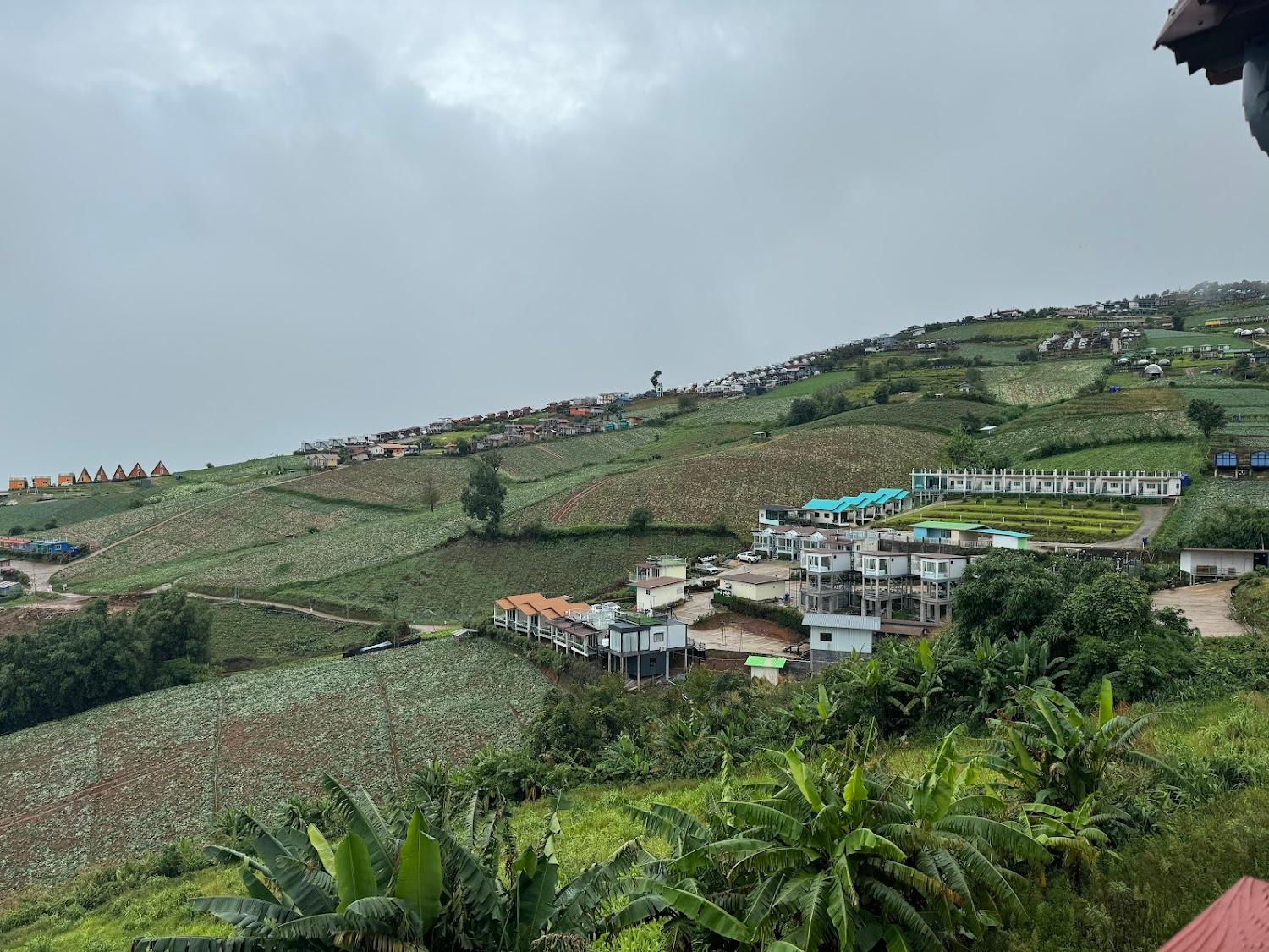 Cover Image for ตามตะวัน ภูทับเบิก