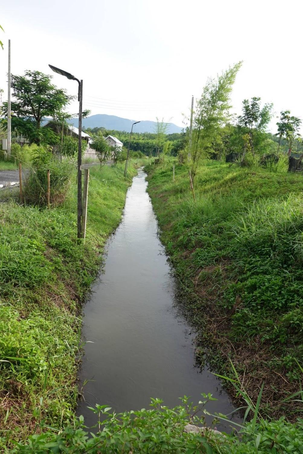 Cover Image for DGD Chiangmai