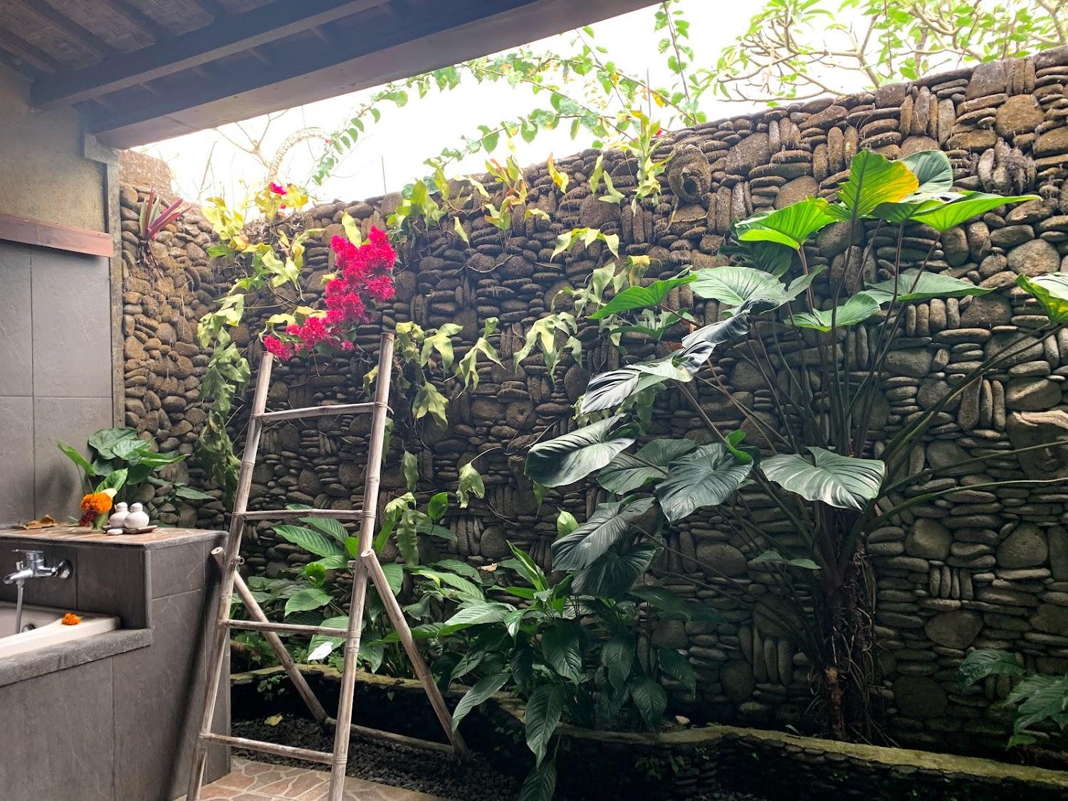Cover Image for Bunut Tropical Ubud