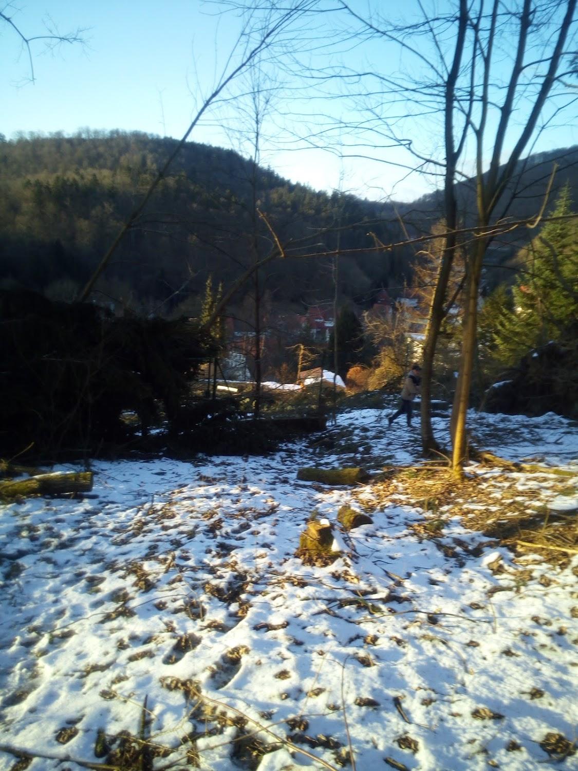 Cover Image for Erikas Haus in der Sonne