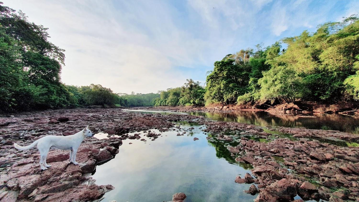 Cover Image for Baandin Chiewlarn Resort