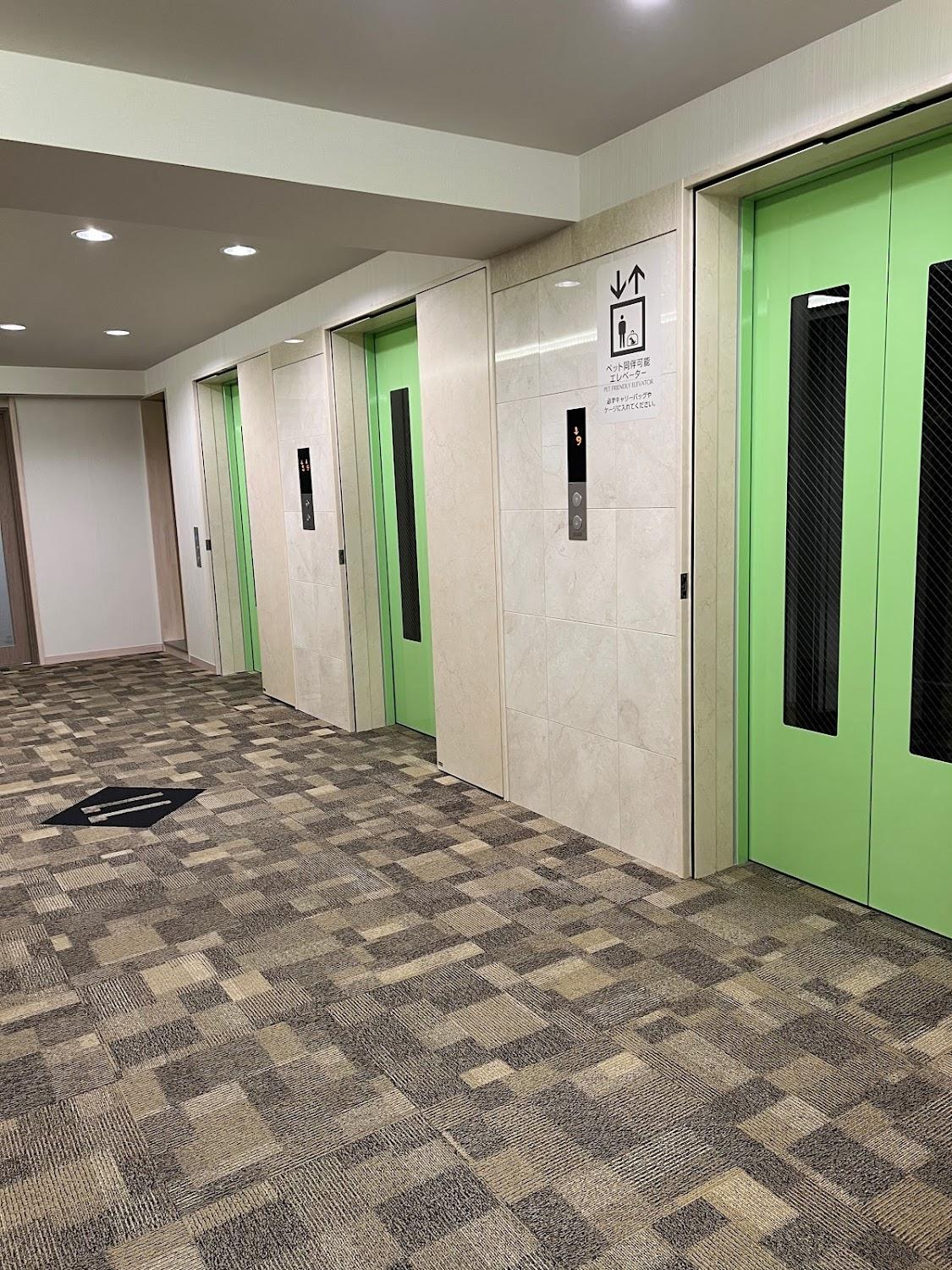 Cover Image for Toyoko Inn Fujisan Otsuki-eki