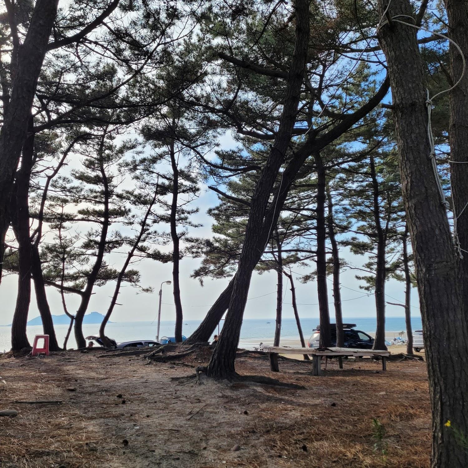 Cover Image for 신밧드의 모험