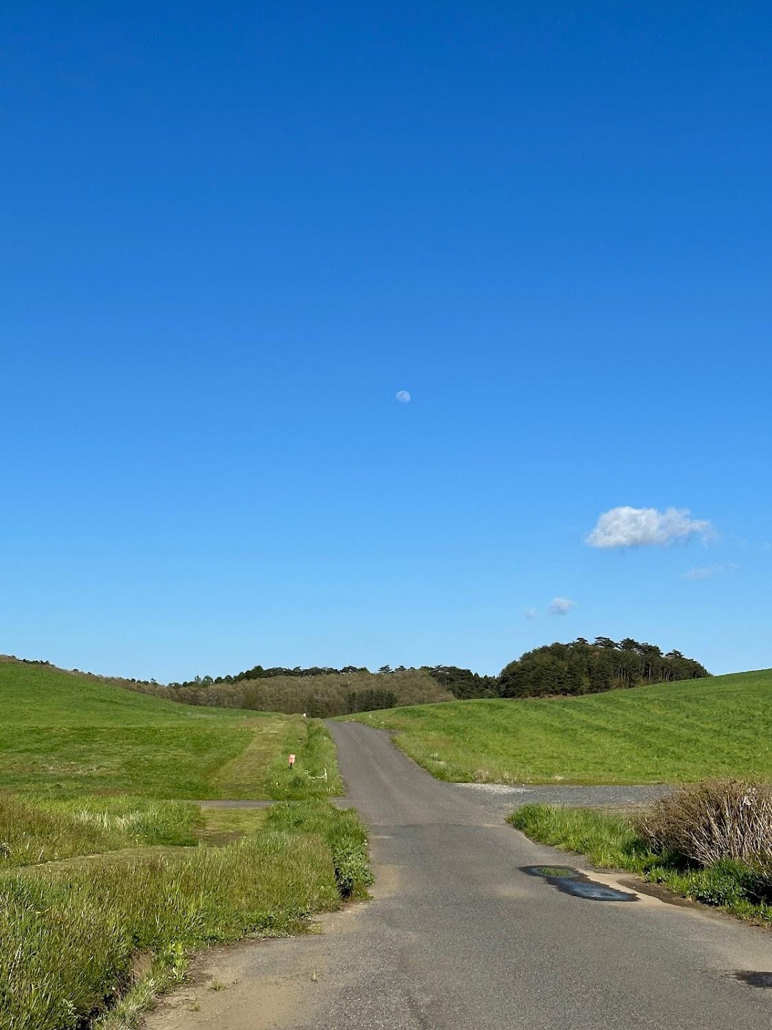Cover Image for Kanotsunodairakankobokujo Camping Ground