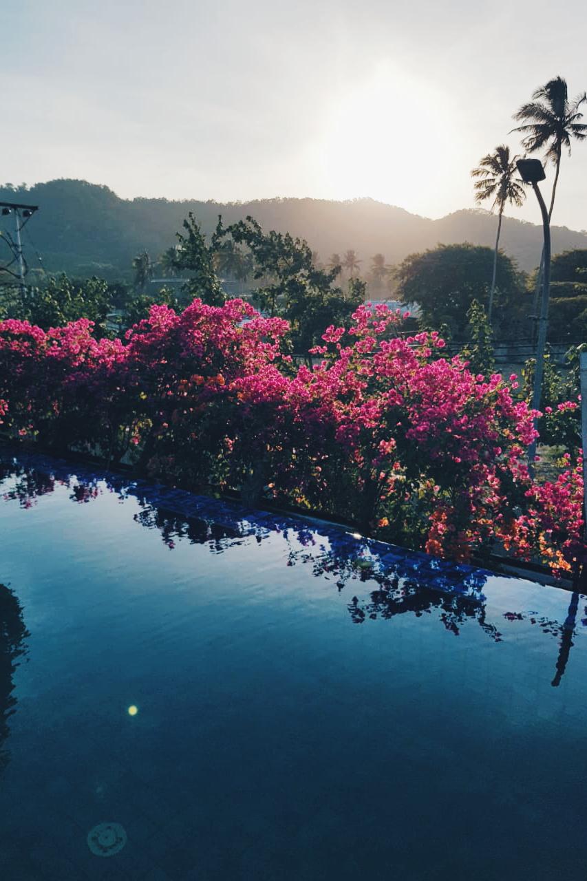 Cover Image for Rawa Lombok