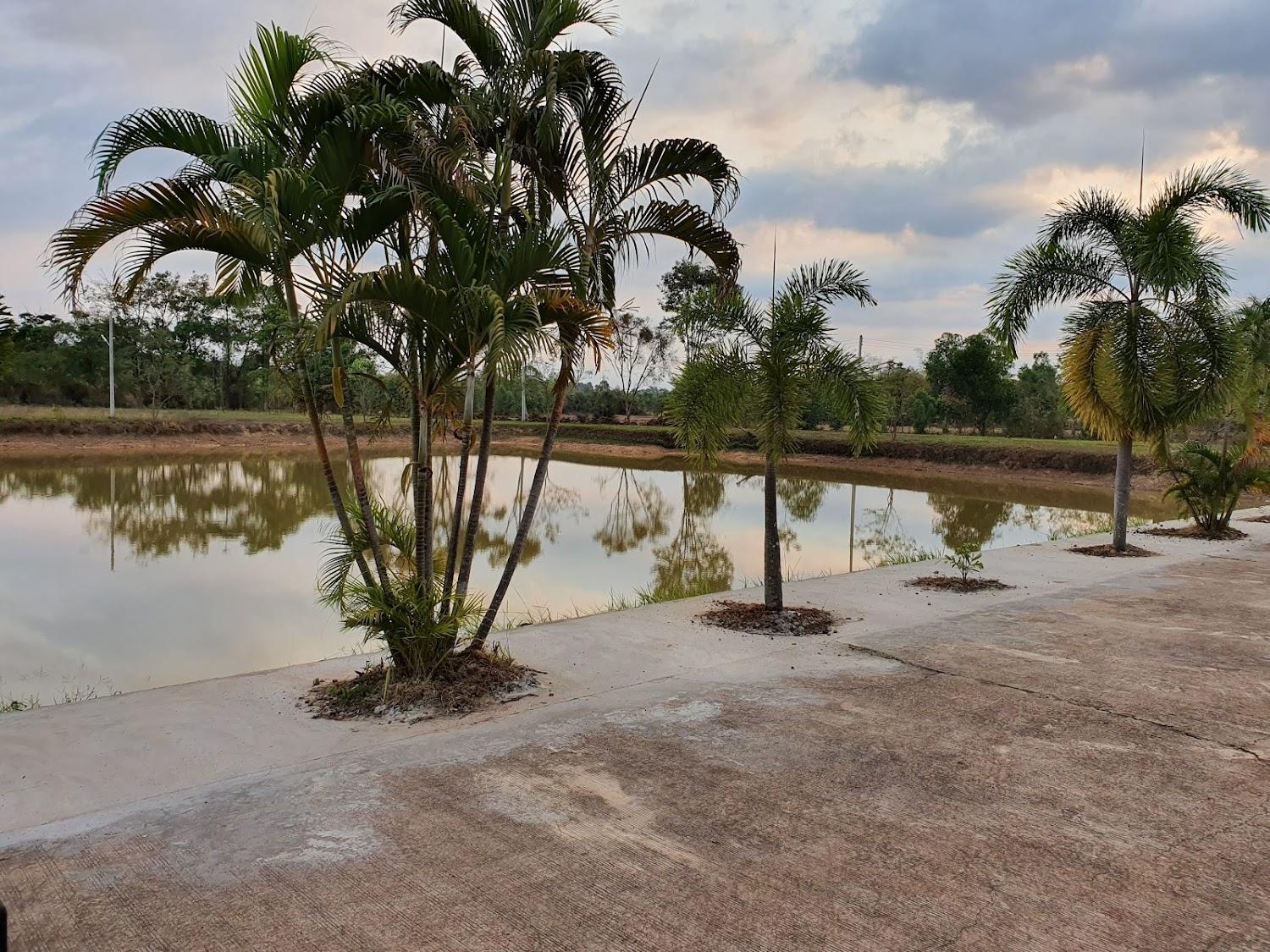 Cover Image for โรงแรม ประกายทอง บ้านต้าย - Prakaithong Hotel Ban Tai