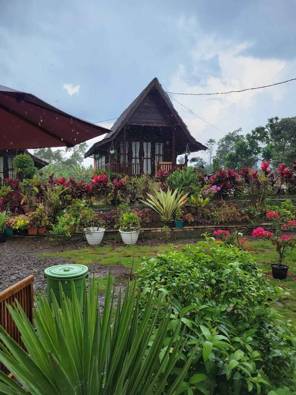 Cover Image for OEMAH NANNA