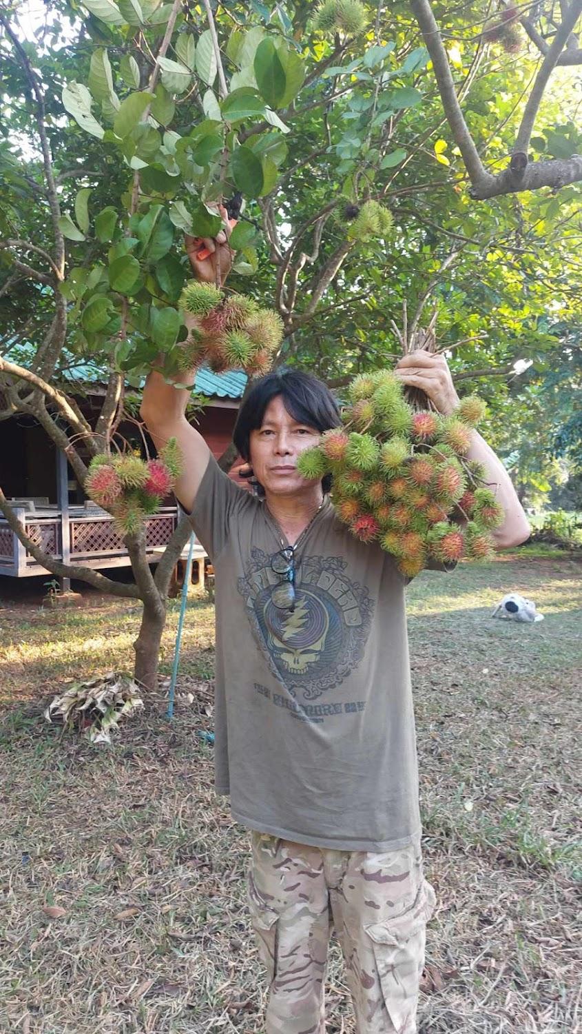 Cover Image for นงชนก โฮมเสตย์