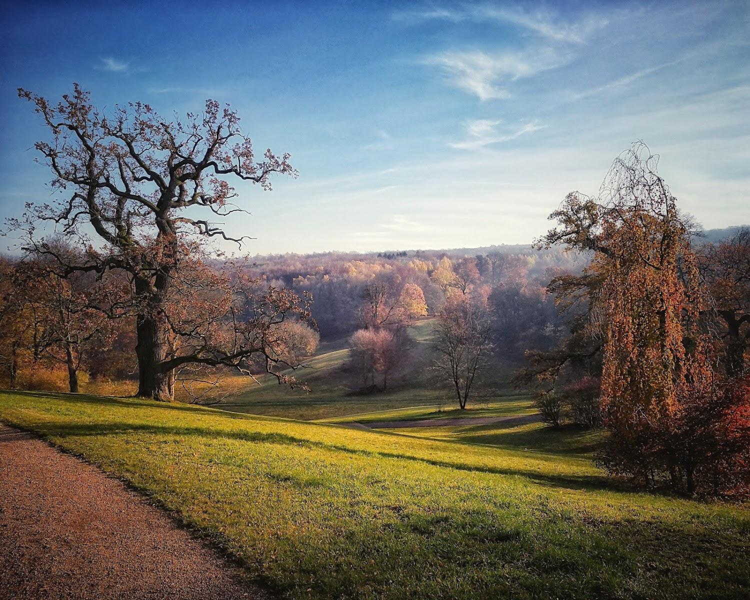 Cover Image for Ettersburg Castle and Park