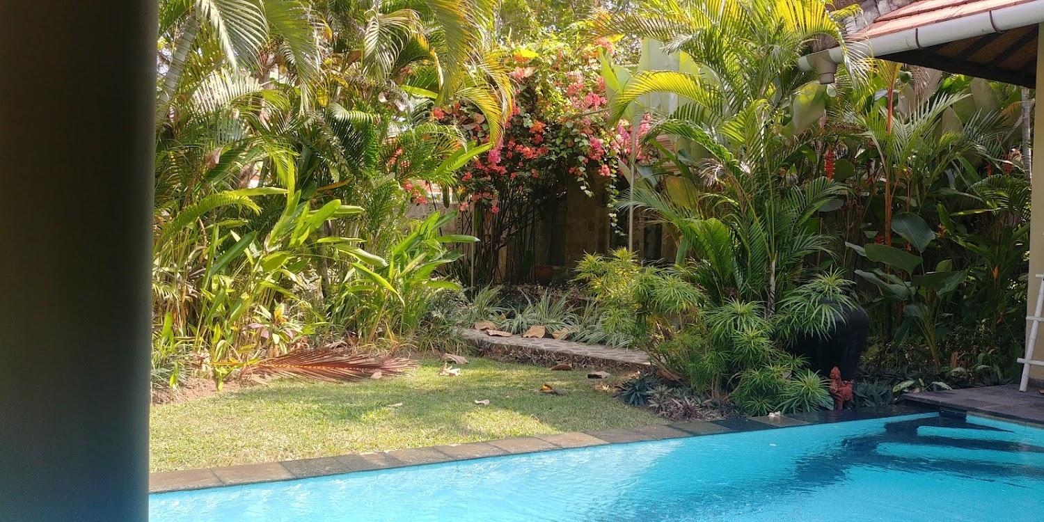 Cover Image for Vila jati