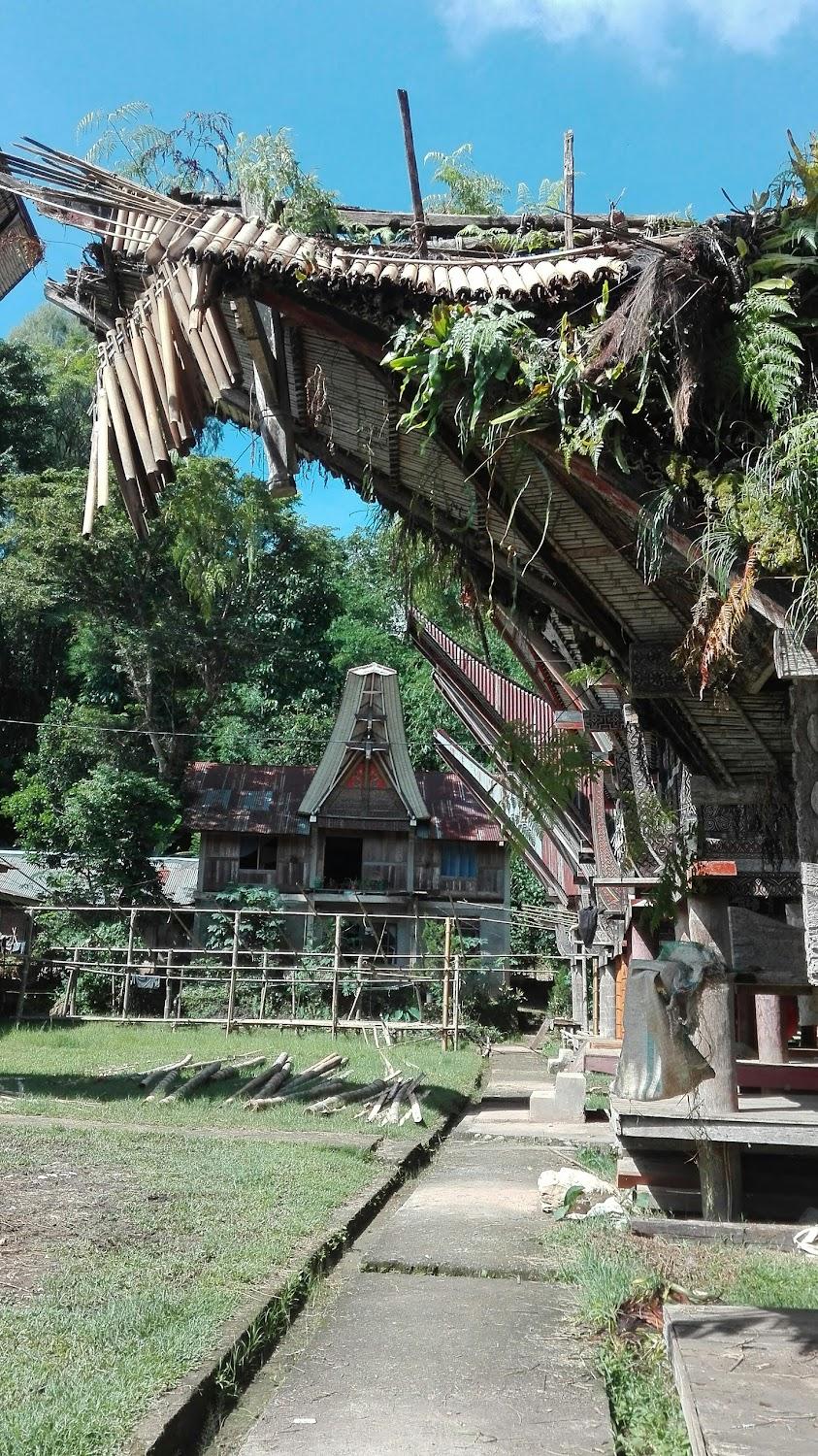 Cover Image for Ne Pakku Manja Homestay