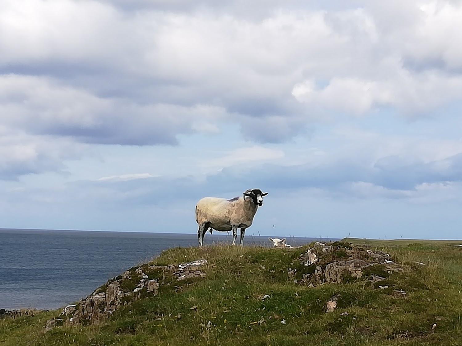 Cover Image for The Old Inn Staffin