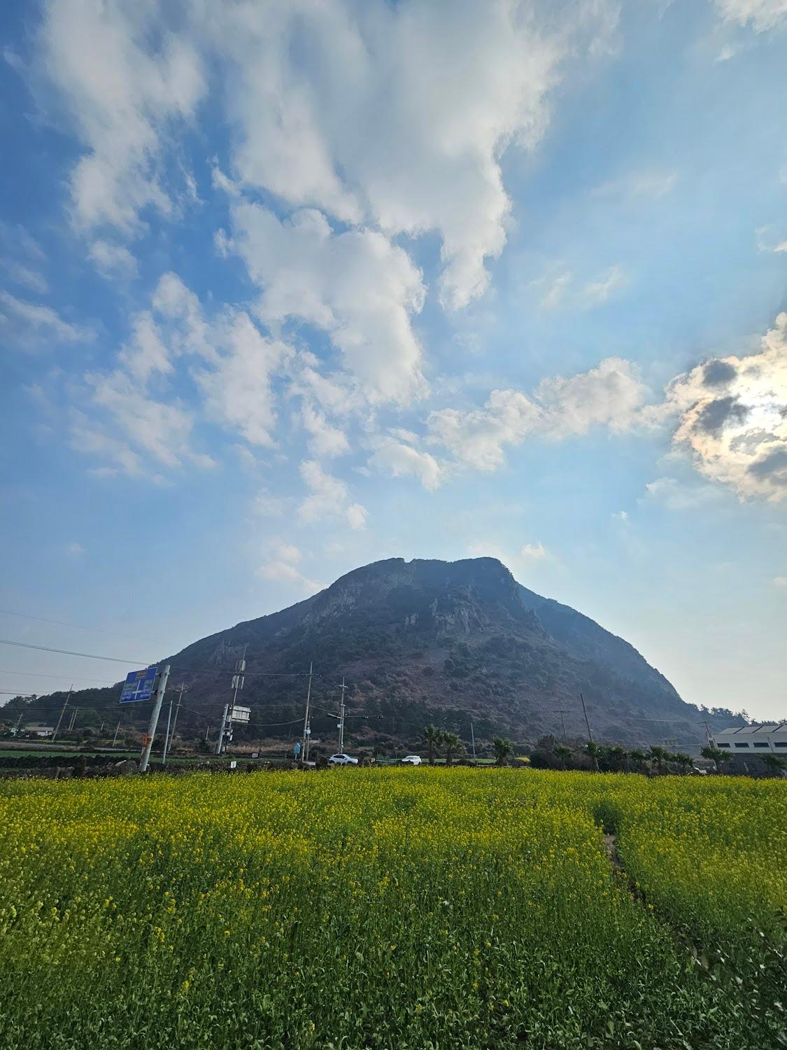 Cover Image for 산방산에머물다펜션