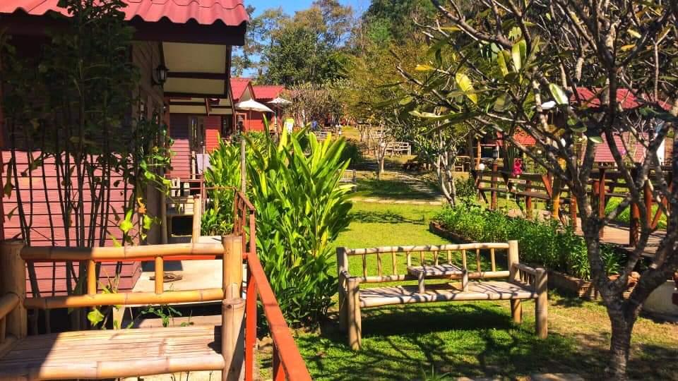Cover Image for The Pai Resort