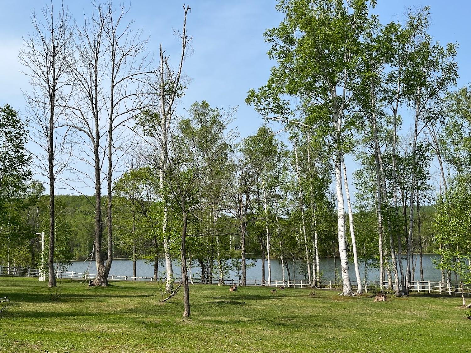 Cover Image for Minamiokashinrin Koen Nai Camping Ground