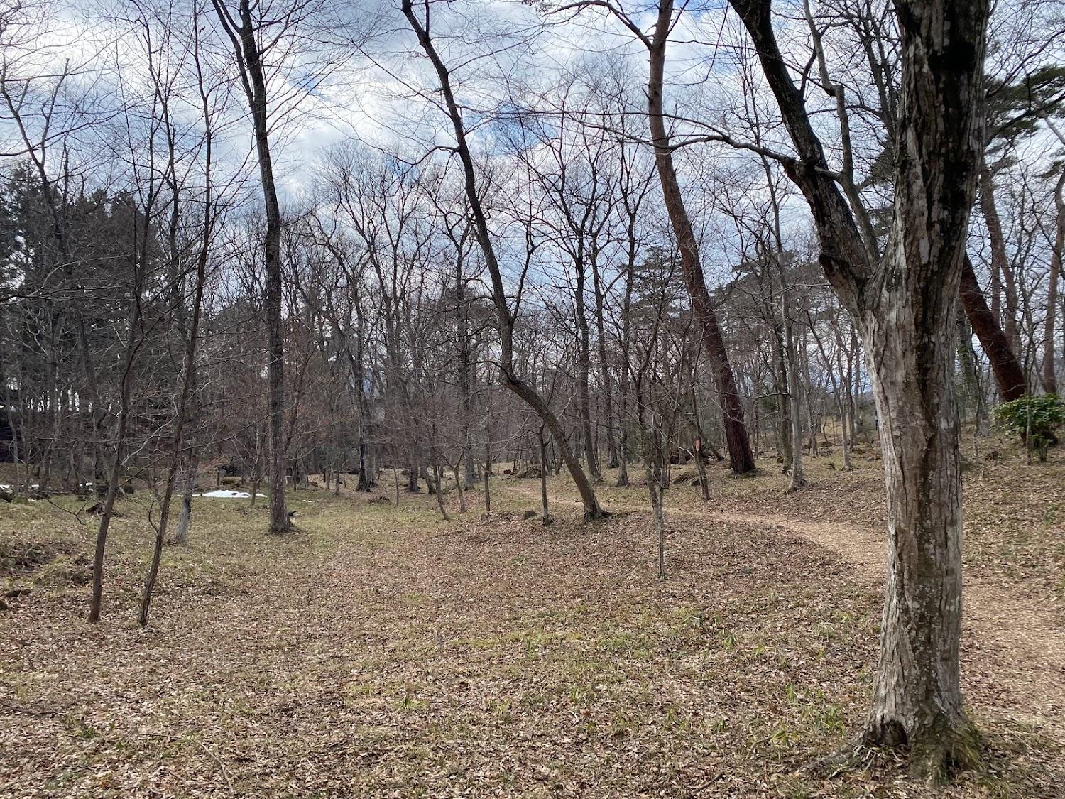 Cover Image for Mizubayashi Nature Forest