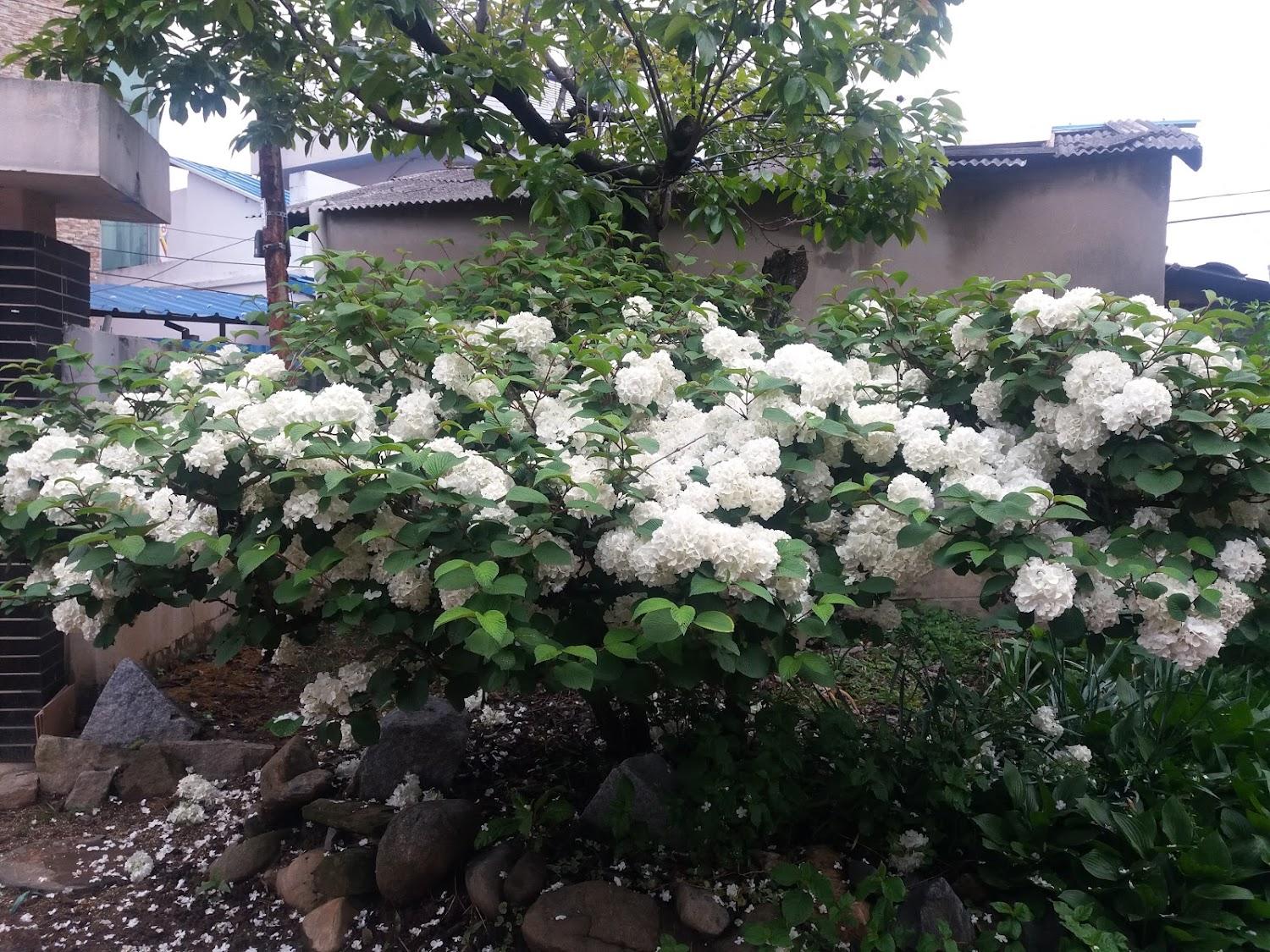 Cover Image for 꿈속모텔
