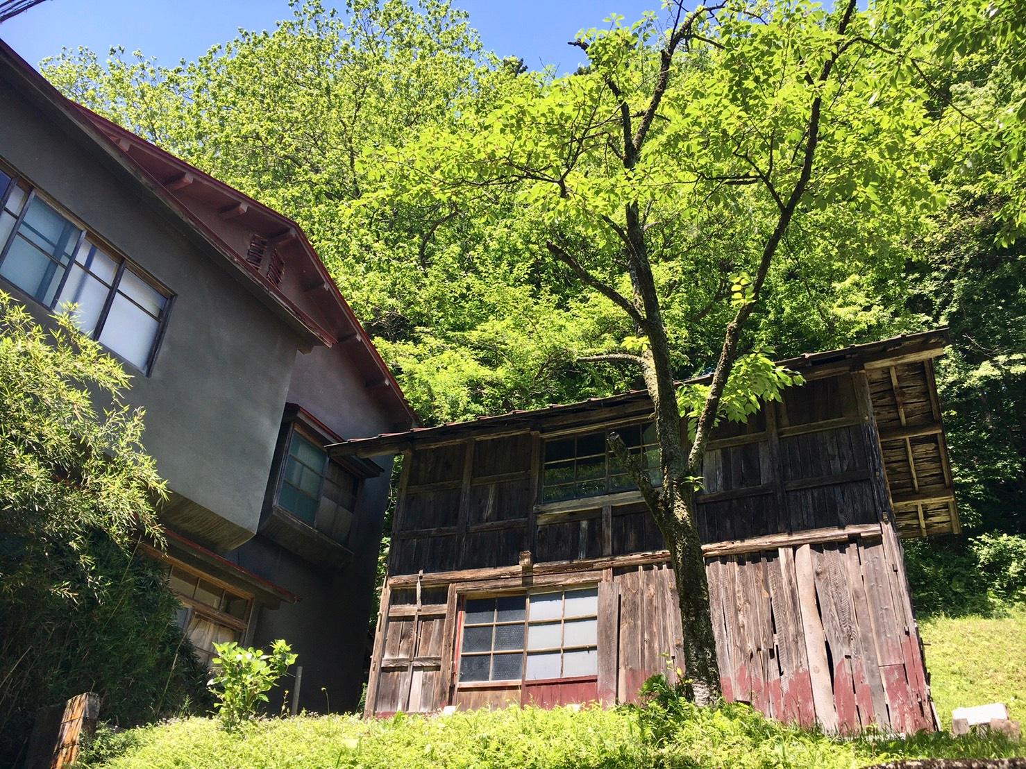 Cover Image for Dai Onsen