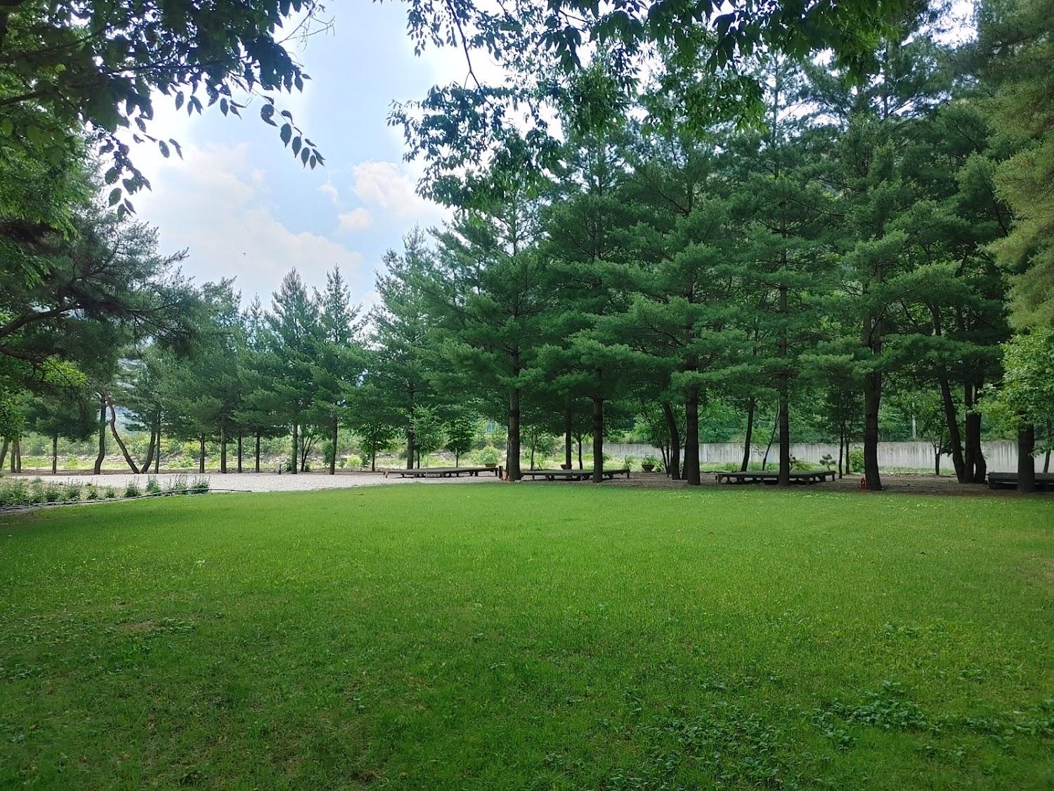 Cover Image for 진부관광농원 캠핑장