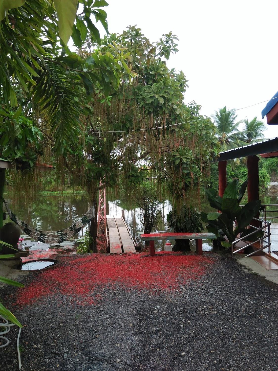 Cover Image for ที่พักบ้านชายคลอง