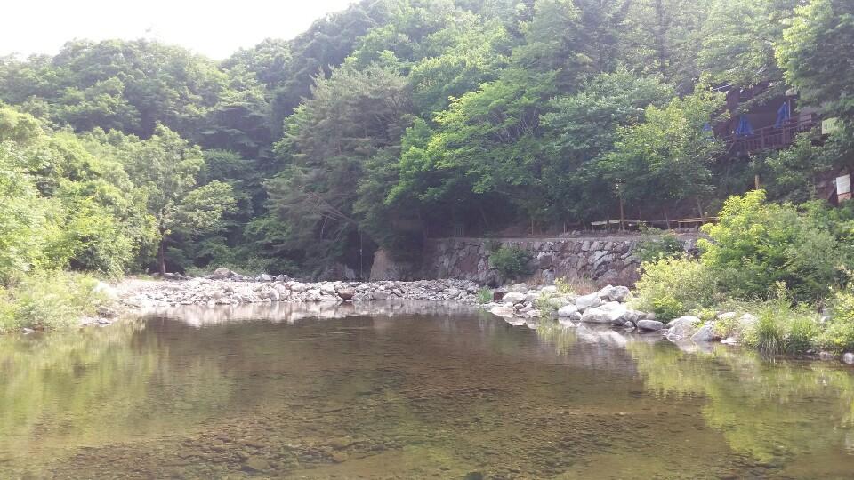 Cover Image for 무주 해바라기펜션 호스텔