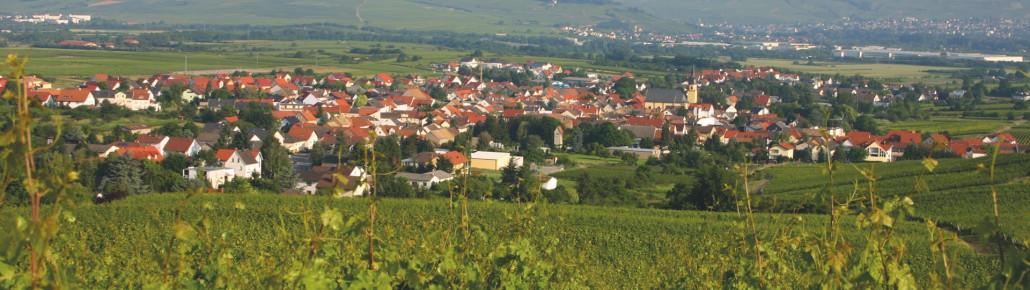 Cover Image for WEINGUT FESER