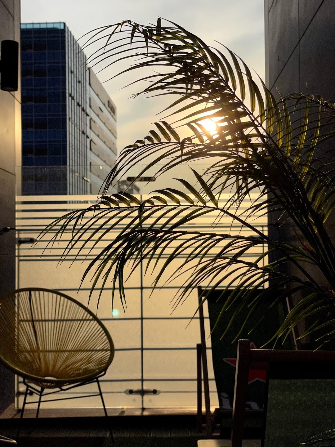 Cover Image for HOTEL POCO