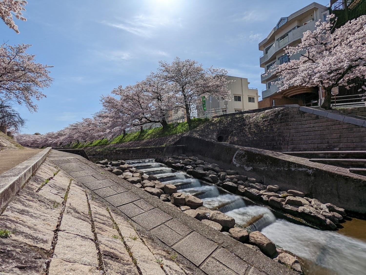 Cover Image for 大和荘