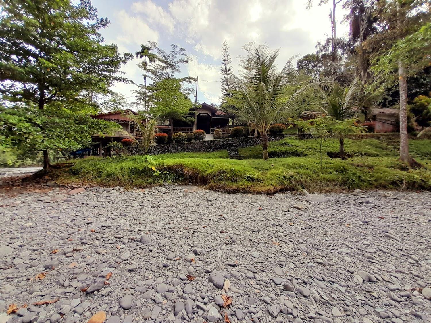 Cover Image for Batu Katak Gibbon Guesthouse