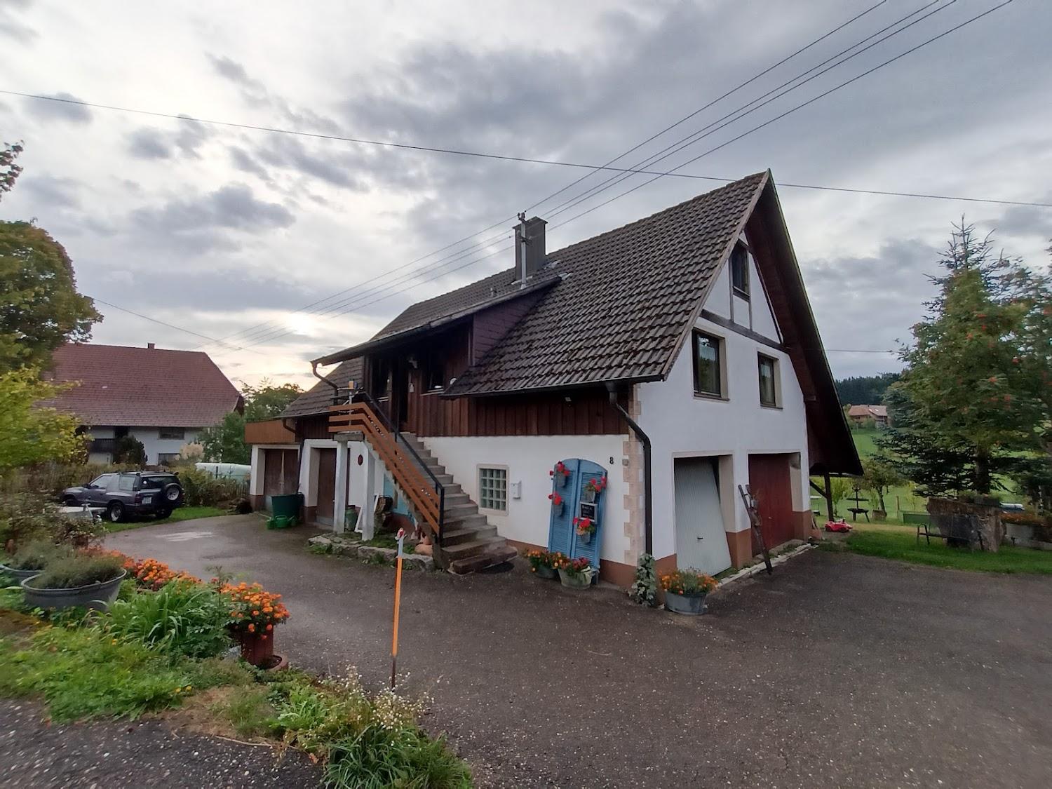 Cover Image for Dischhof