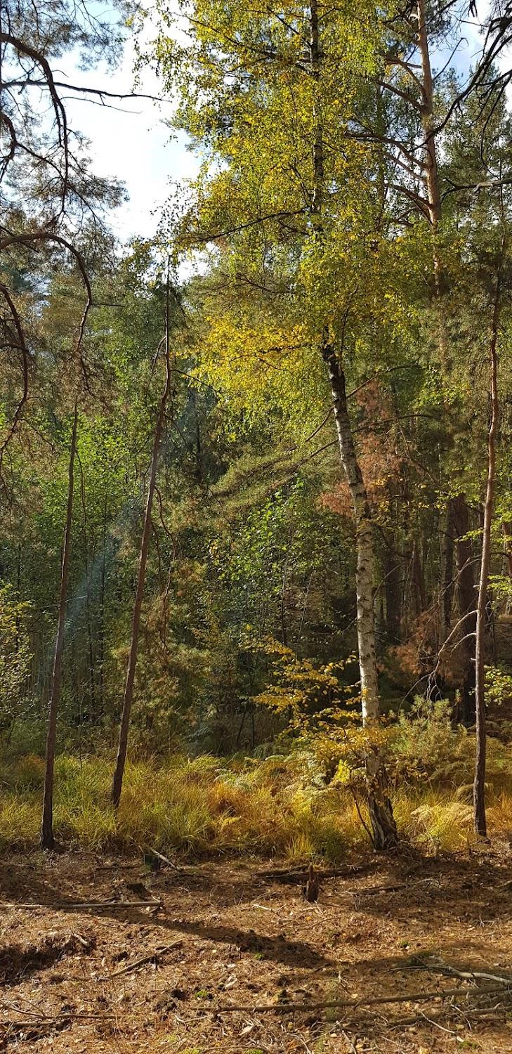 Cover Image for Haus Silke am See