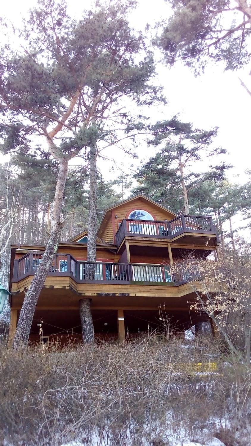 Cover Image for Pine Forest Pension