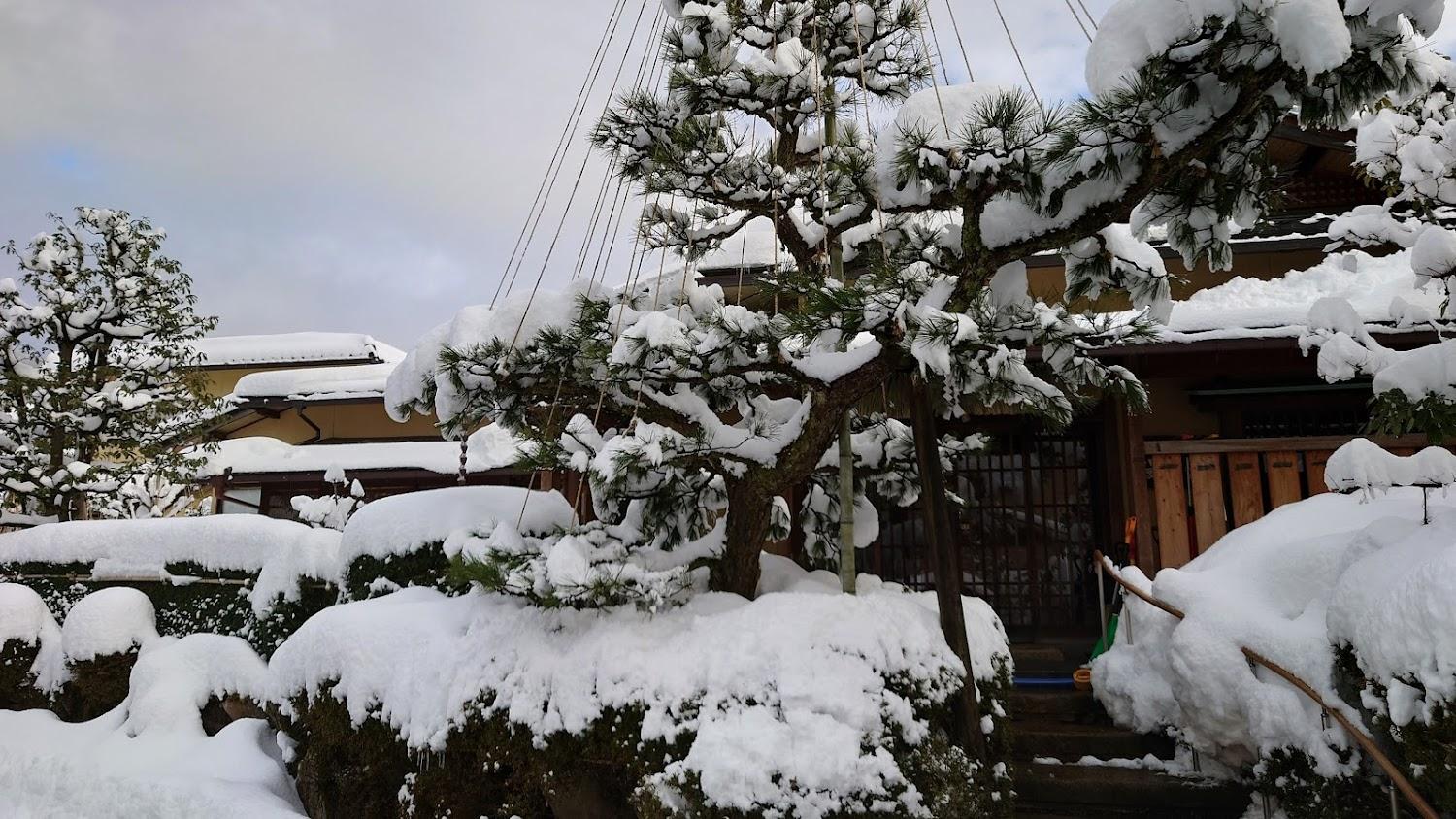 Cover Image for Yunode