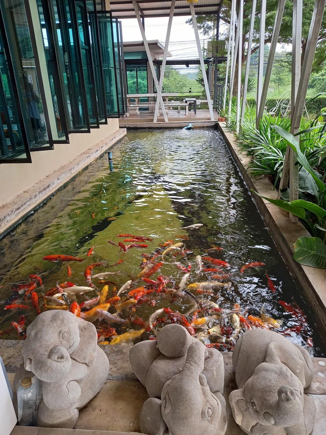 Cover Image for Maihom Villa