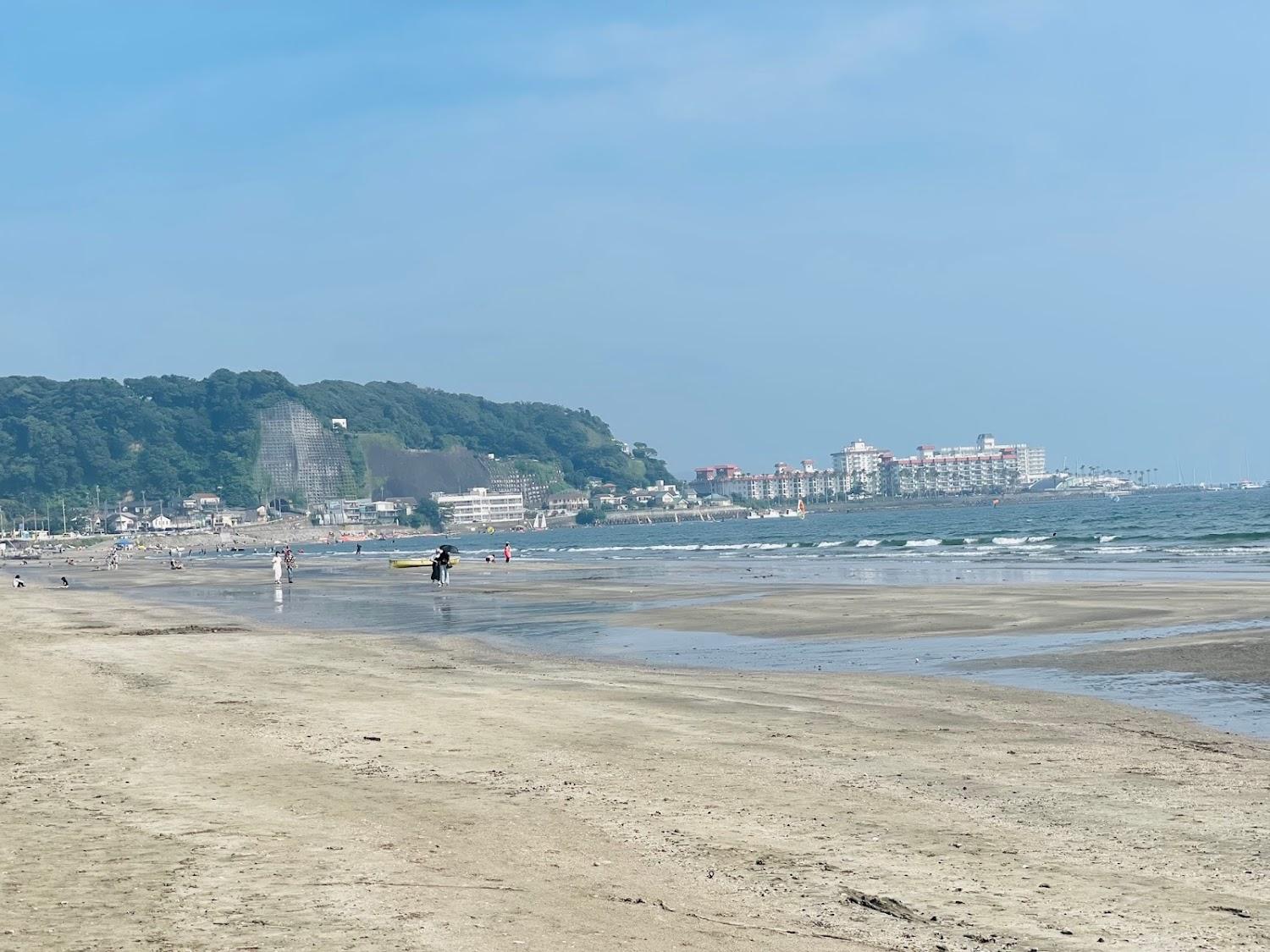 Cover Image for ZAIMOKUZA SEASONS