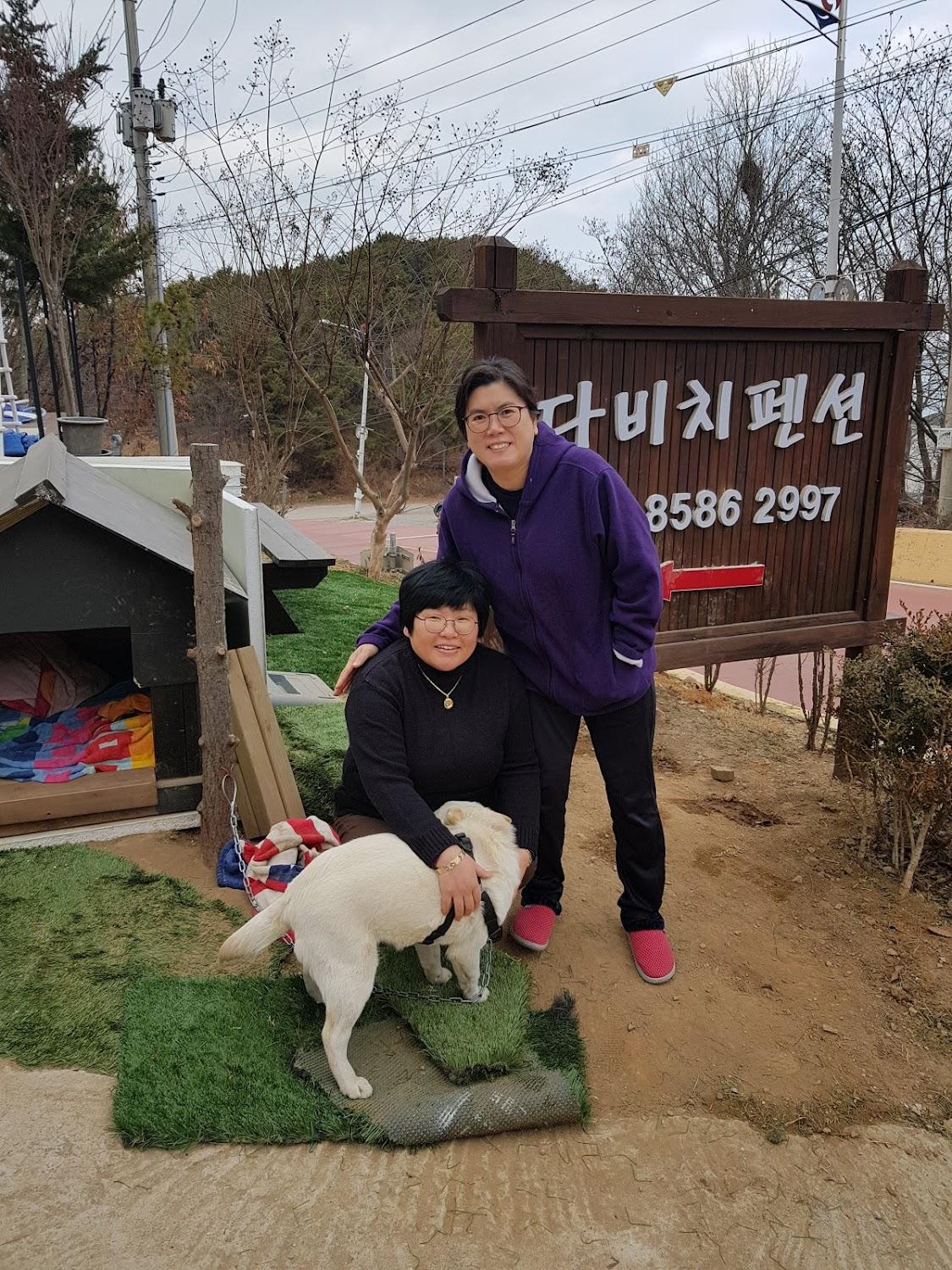 Cover Image for 다비치펜션