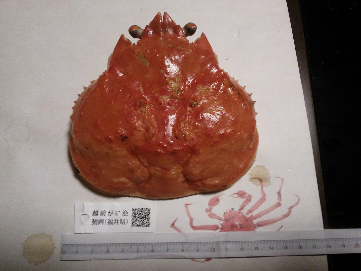 Cover Image for Nakajima