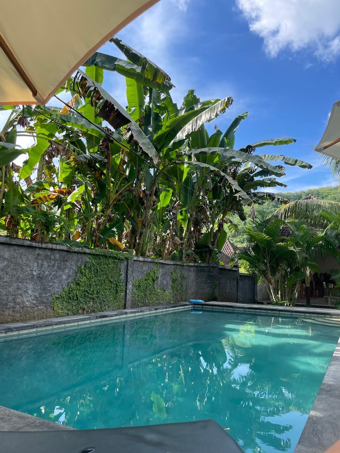 Cover Image for Crystal Bay Pool View Bungalows
