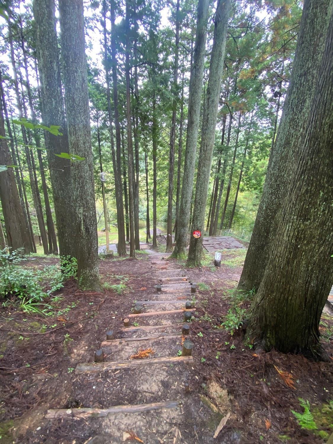 Cover Image for Otaki Kenminnomori Camping Ground