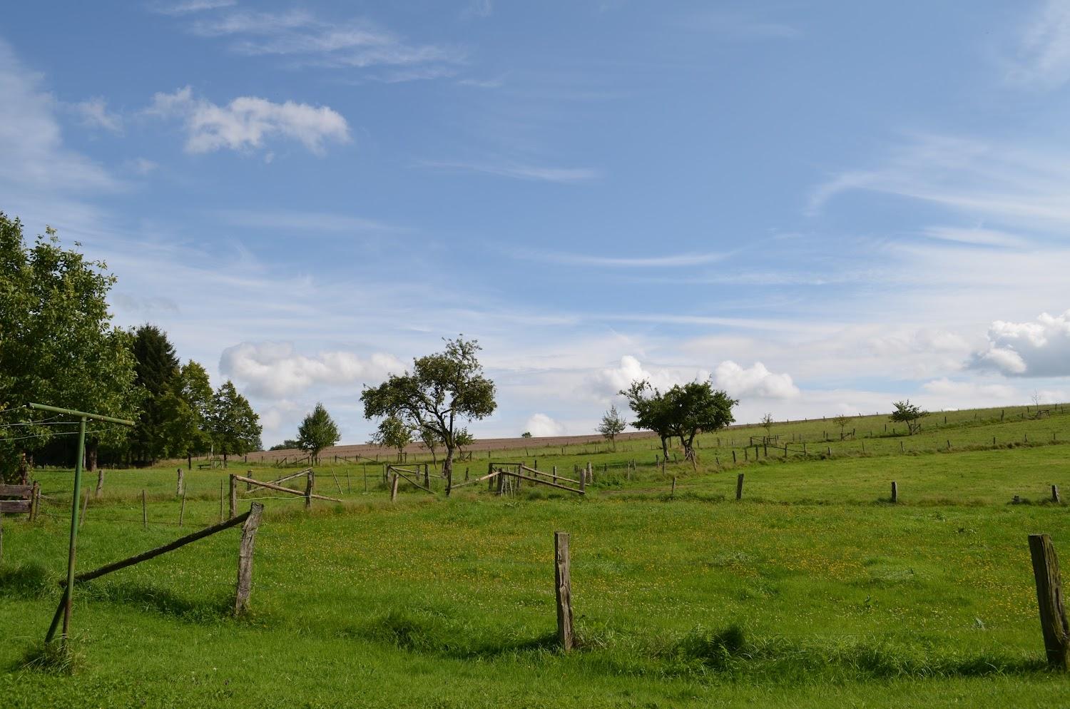 Cover Image for Ferienwohnungen Heisterholz
