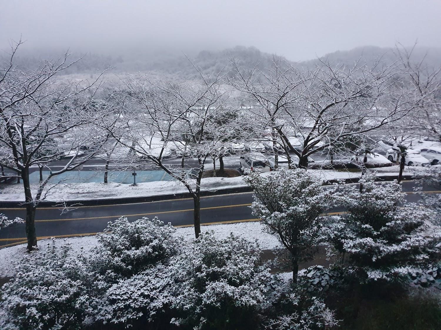 Cover Image for Hanwha Resort Jeju