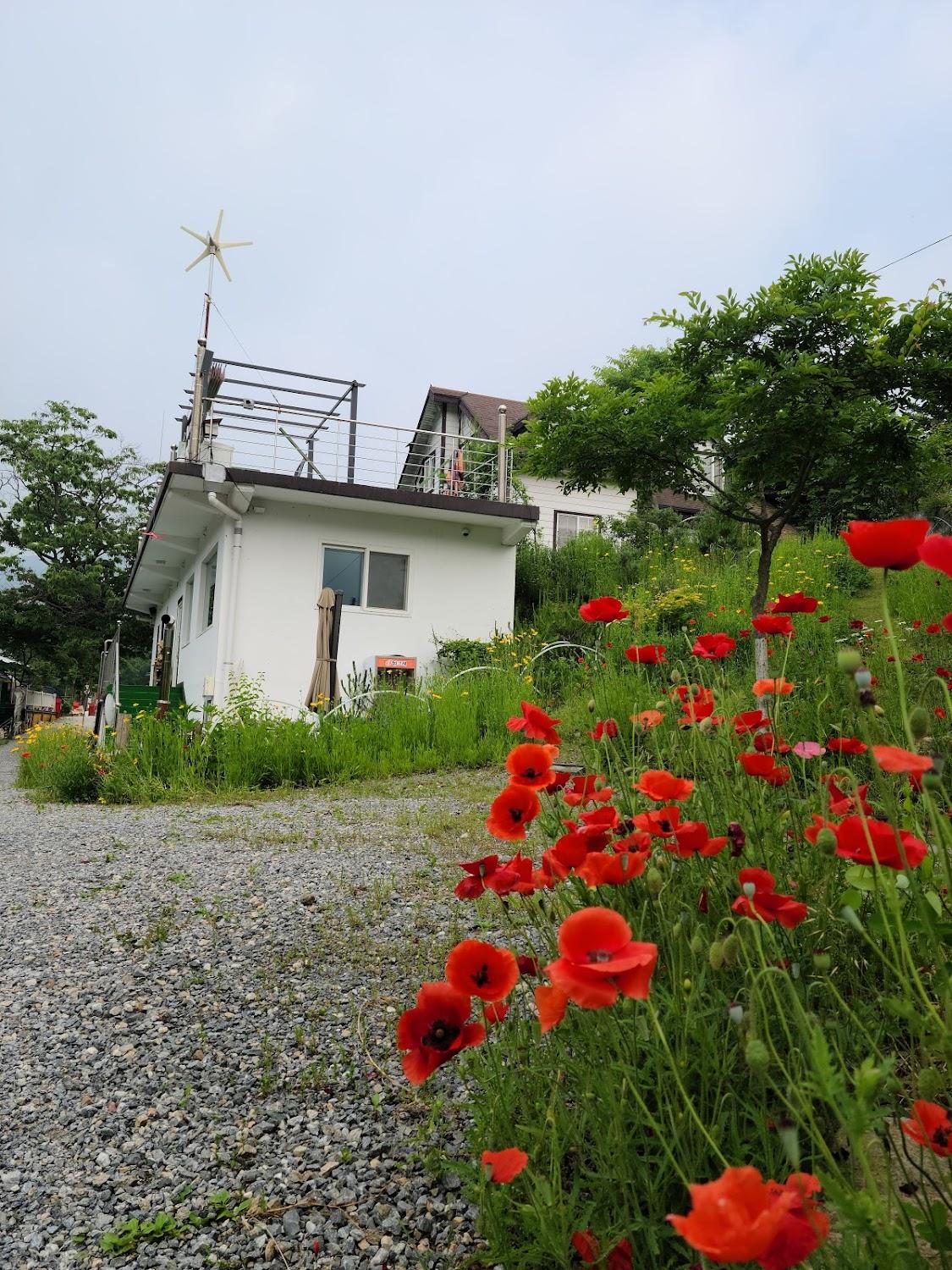 Cover Image for 제천통나무펜션