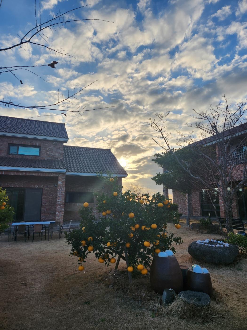 Cover Image for Iruda Pension