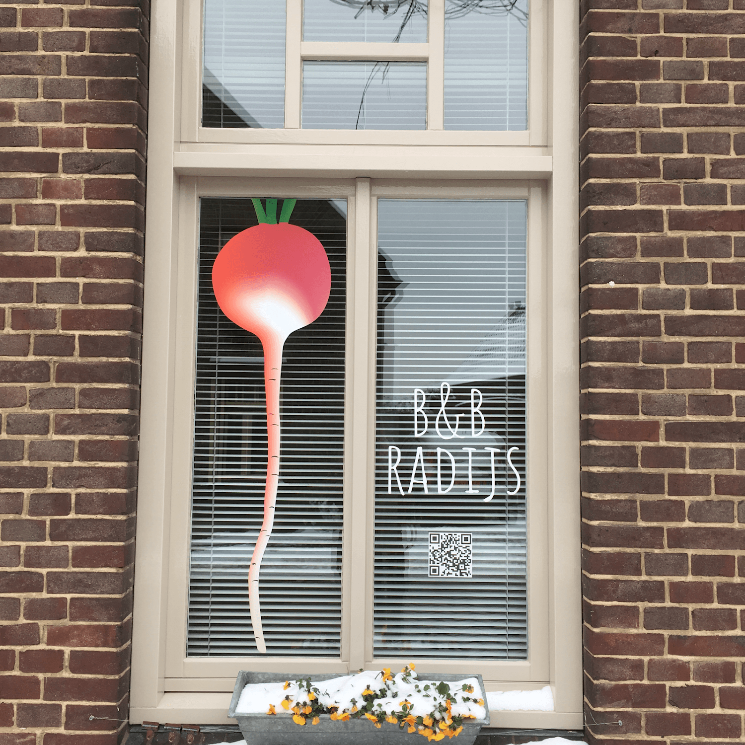Cover Image for B&B Radijs