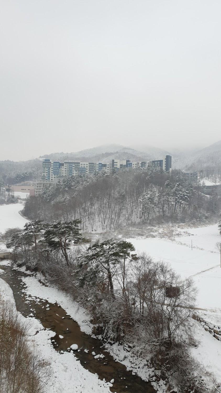 Cover Image for 리도파크모텔