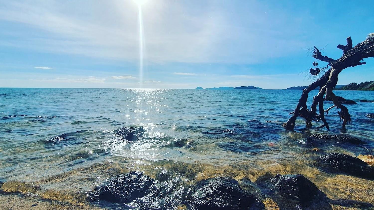 Cover Image for Pano Resort