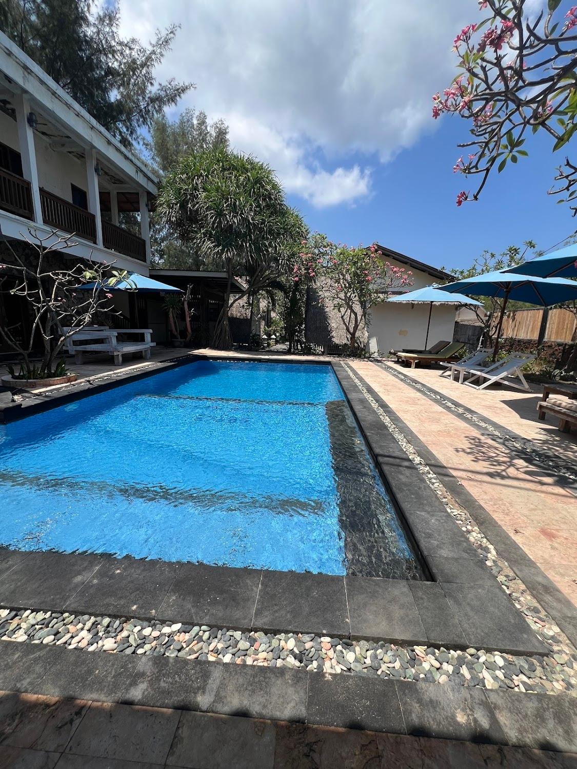 Cover Image for coral beach seaside